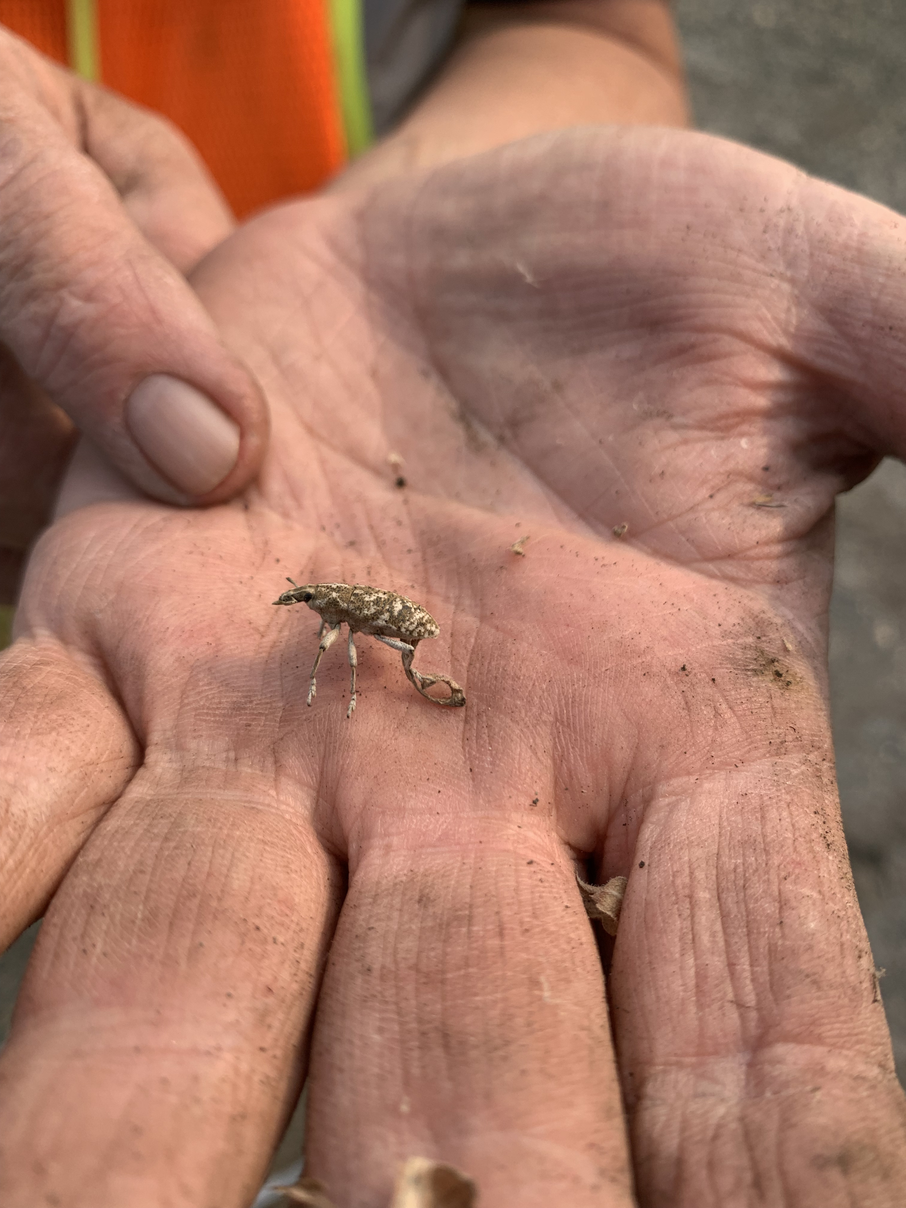 Thermal treatment unit