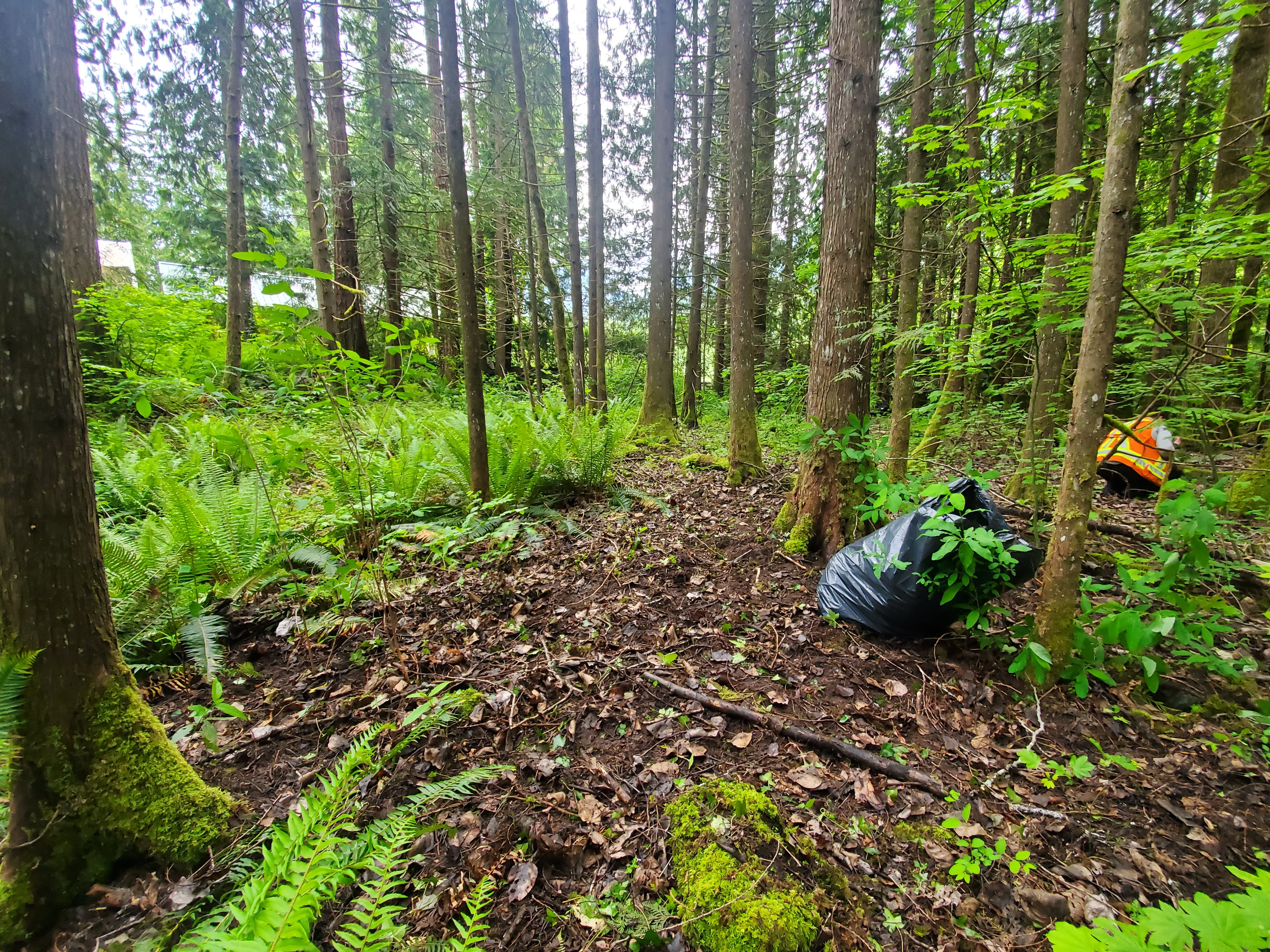 Treatment work in progress