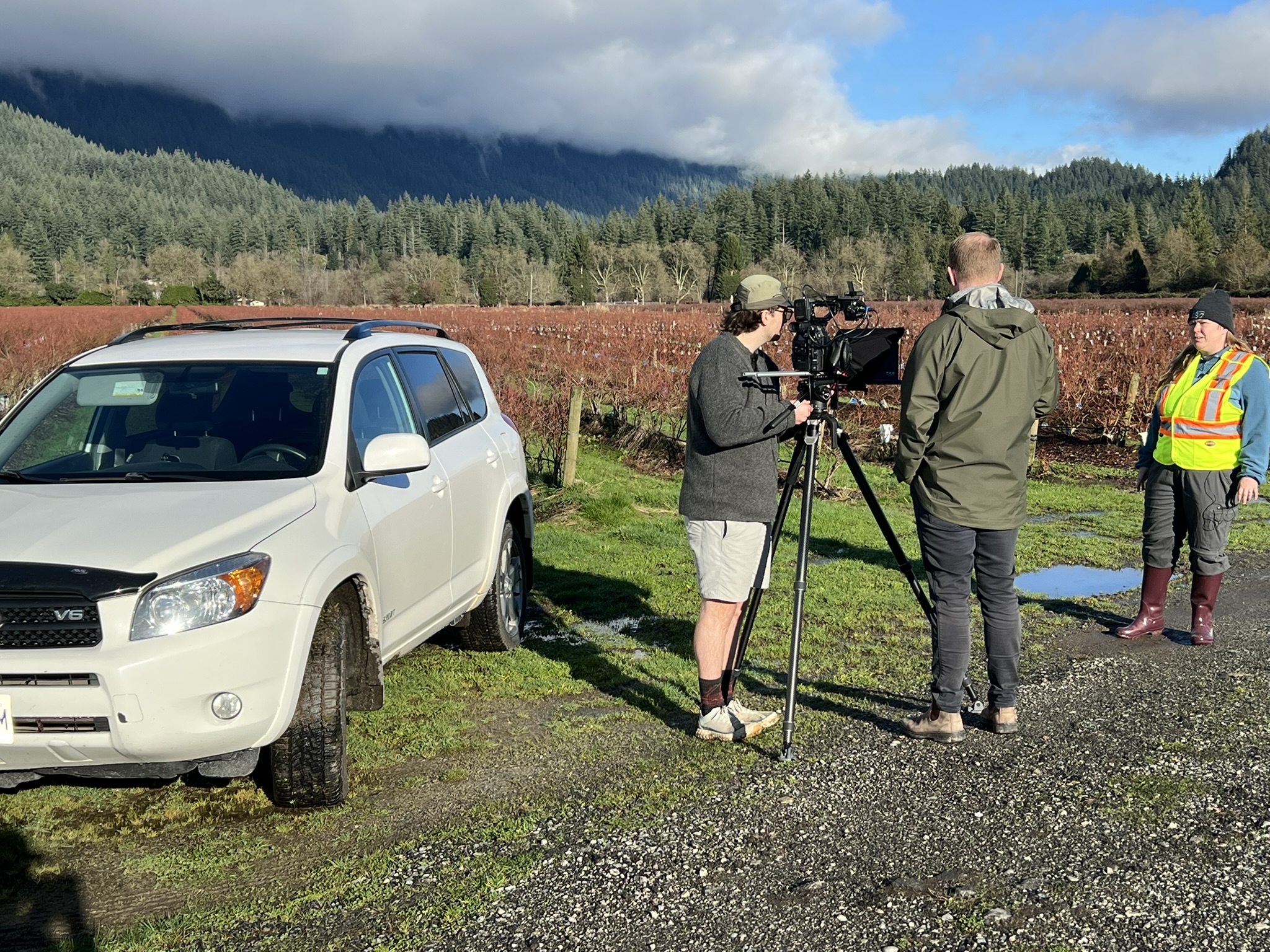 Field resources and identification materials
