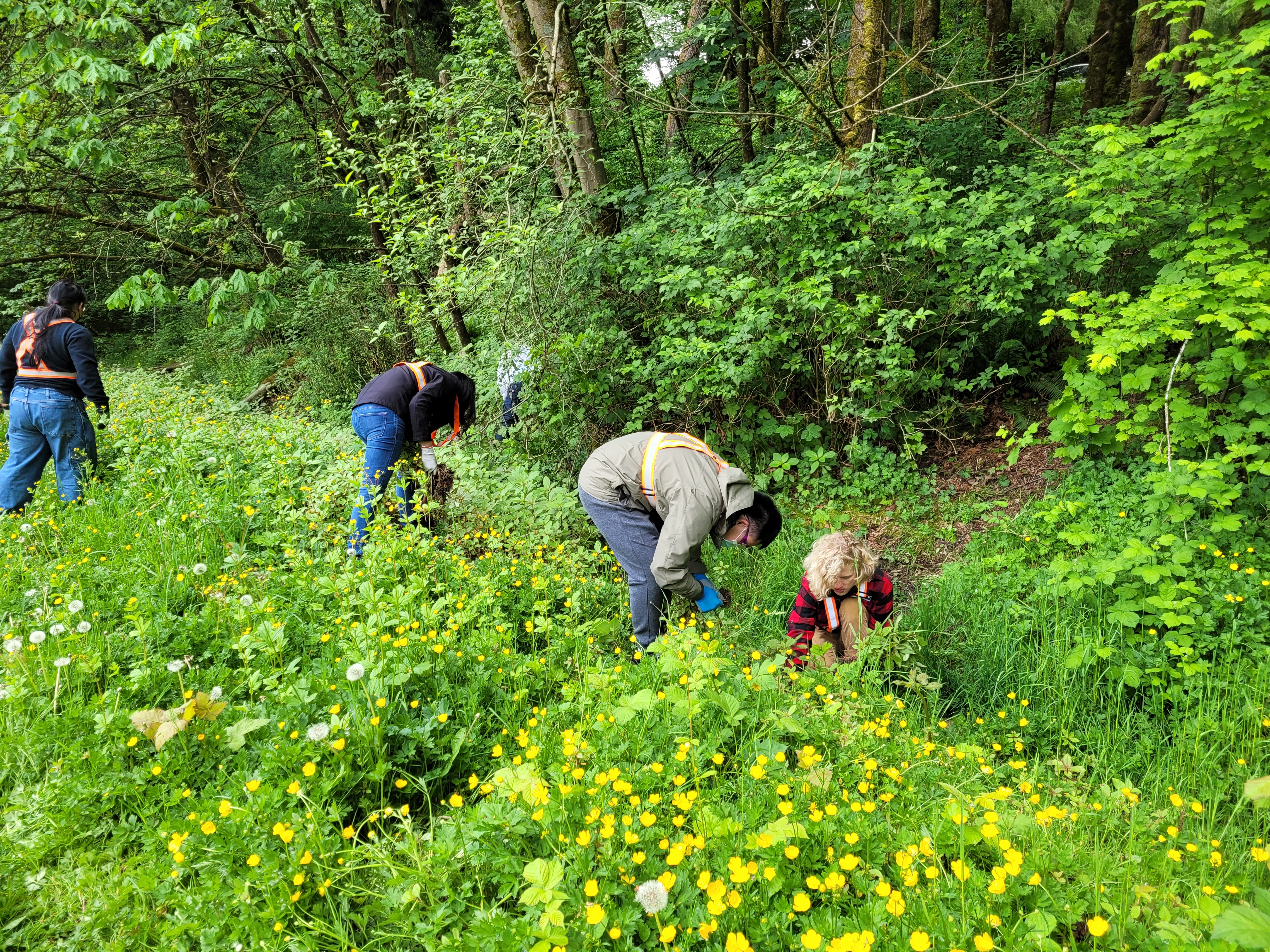 Cross-Canada project map